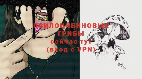 хмурый Белоозёрский